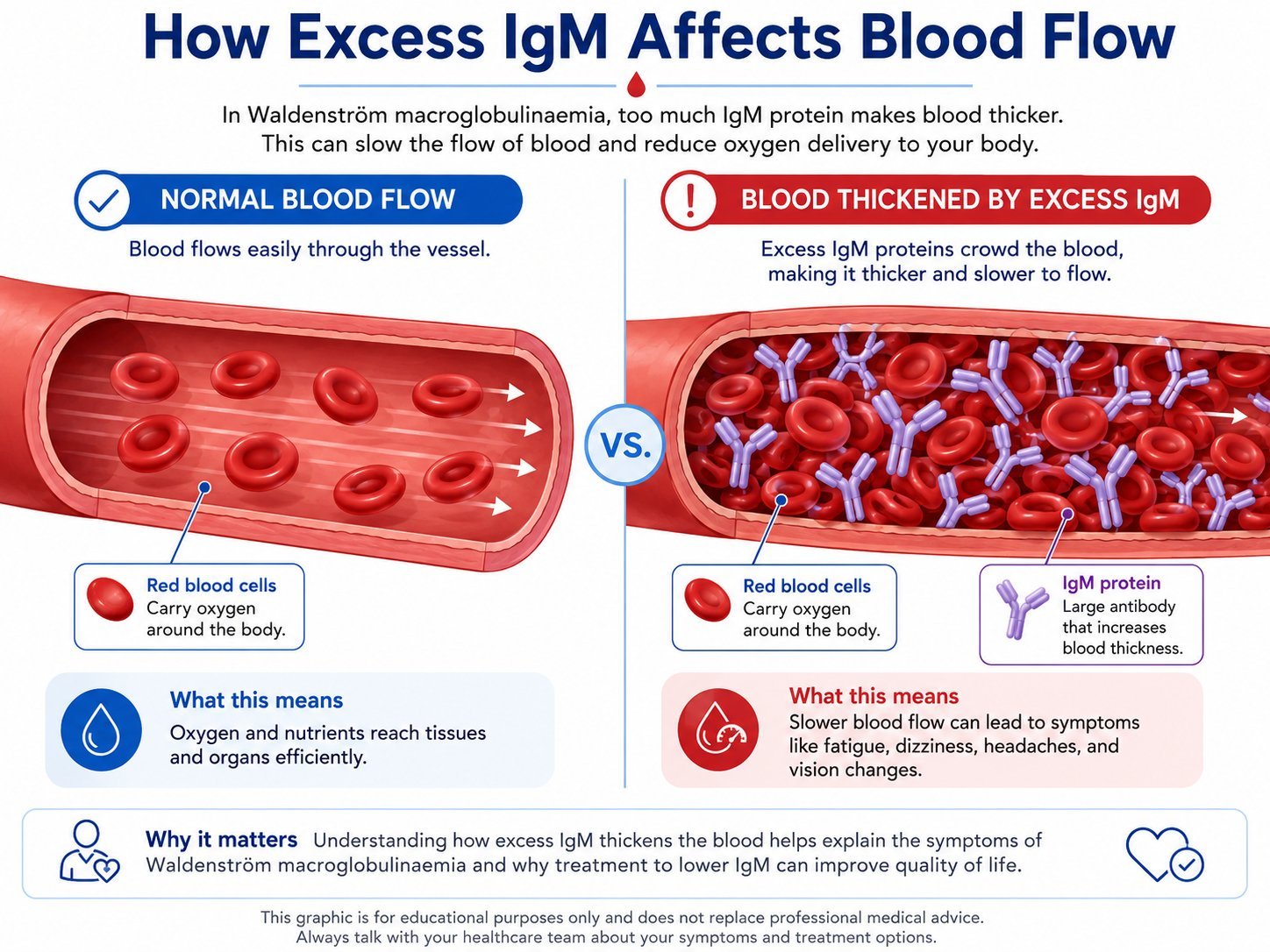 Comparison of normal blood flow and thickened blood caused by high IgM levels.