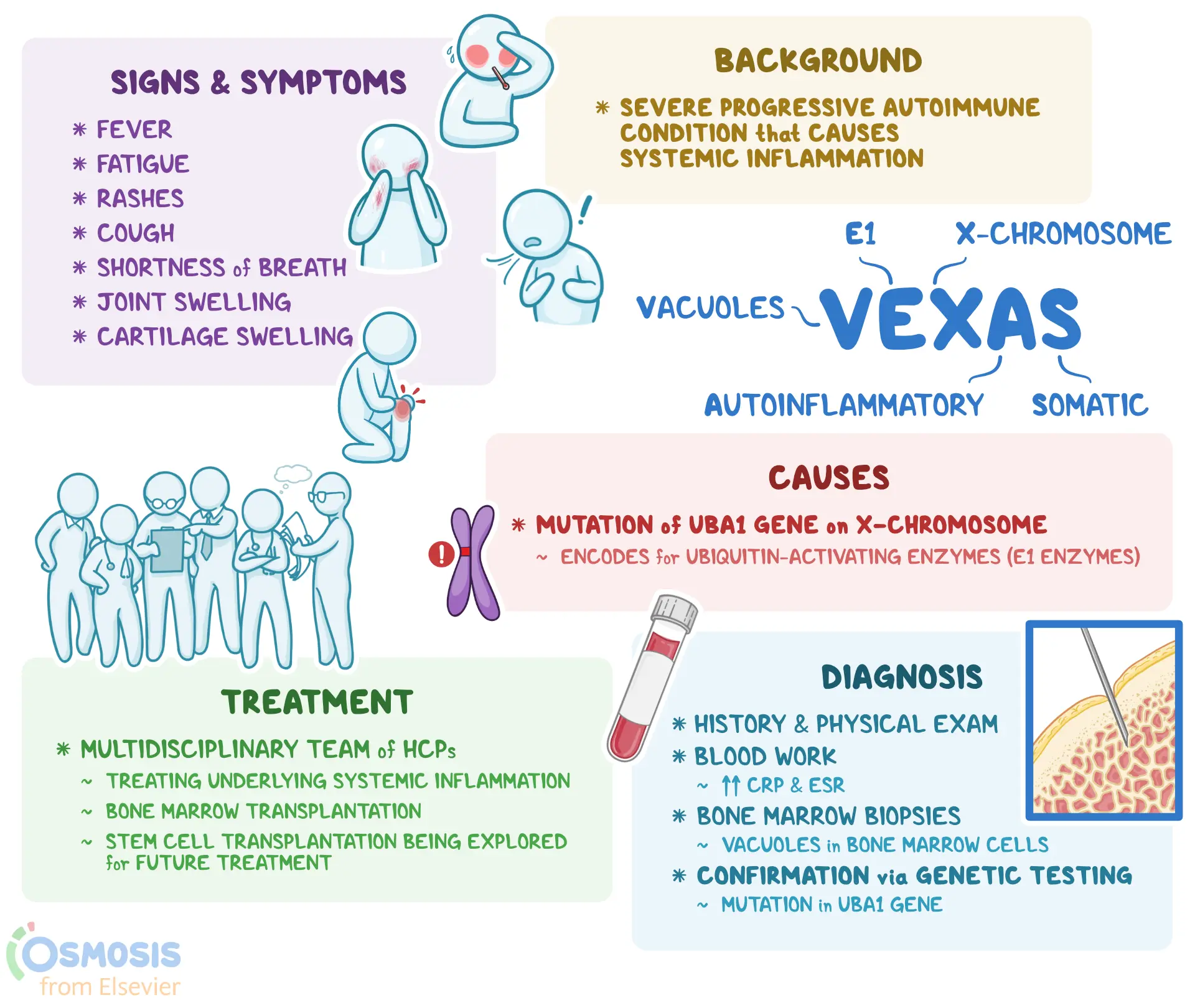 Clinical presentation in VEXAS